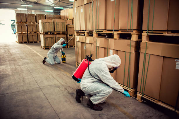 Reliable Orangeburg, NY Pest Control Solutions