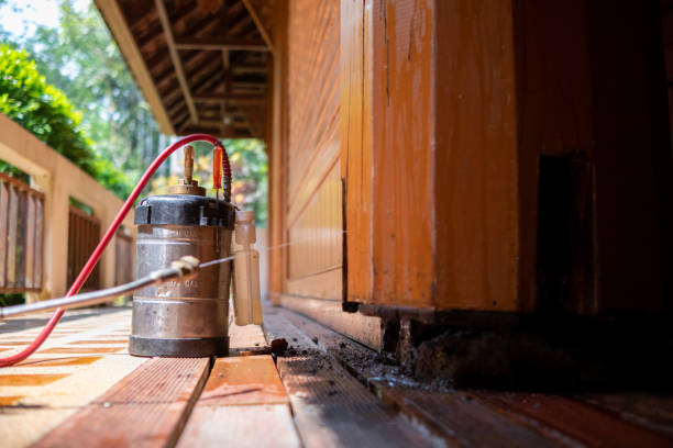 Best Exterminator Services  in Orangeburg, NY