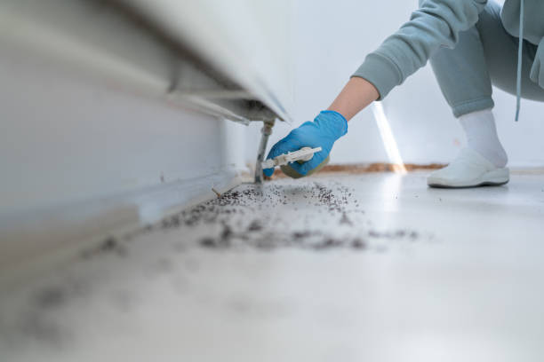 Bird Control in Orangeburg, NY